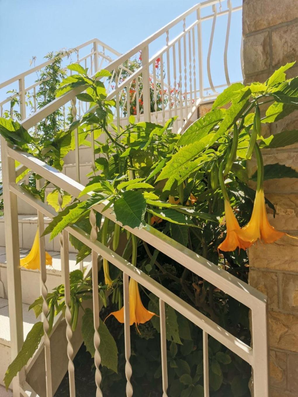 Apartments Srdan Vinišće Εξωτερικό φωτογραφία